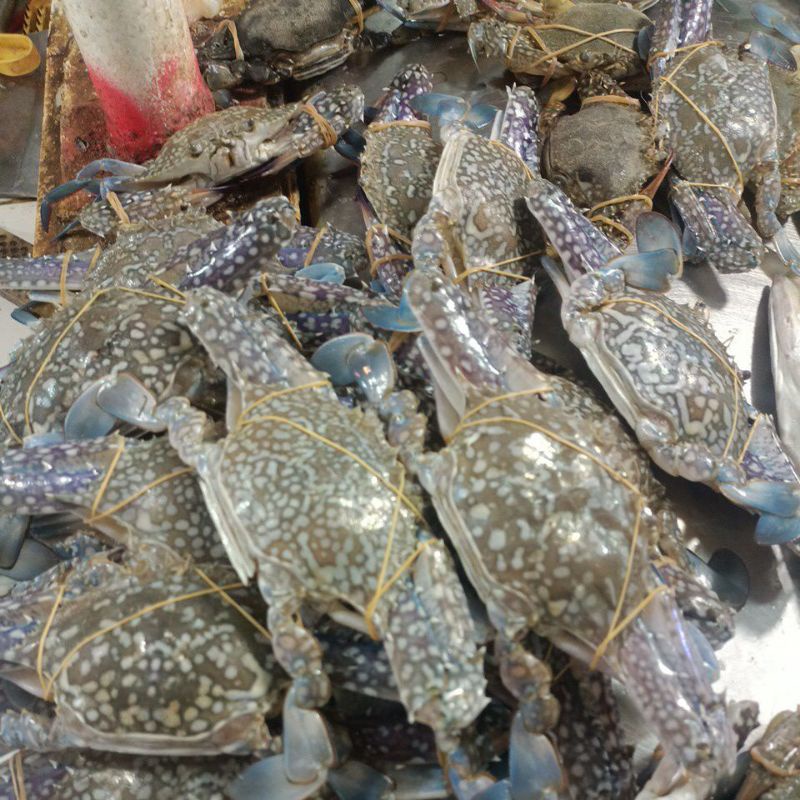 Rajungan Segar 1kg