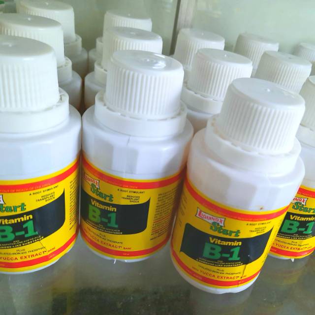 Pupuk Cair Vitamin B1 untuk tanaman