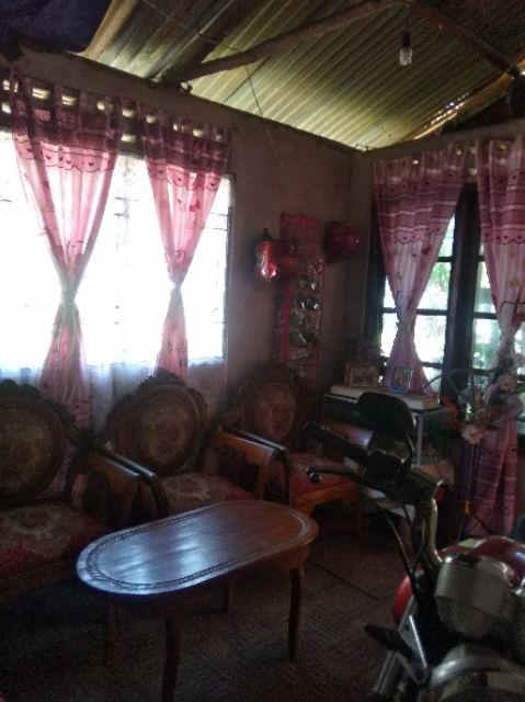 Gorden Ring Kitty Nice