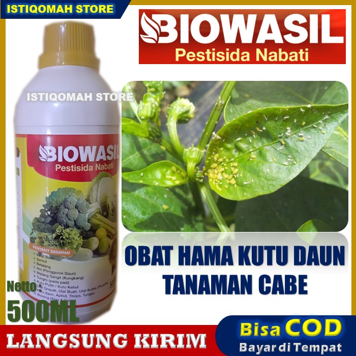 Pestisida Nabati BIOWASIL 500ml Obat Hama Kutu Daun Cabe - Obat Pembasmi Kutu Daun Cabe - Insektisida Pembasmi Hama Kutu Daun Cabai - Insektisida Untuk Kutu Daun Pada Cabe -  Racun Kutu Daun Pada Cabe Bisa untuk Semua Jenis Tanaman TERLARIS