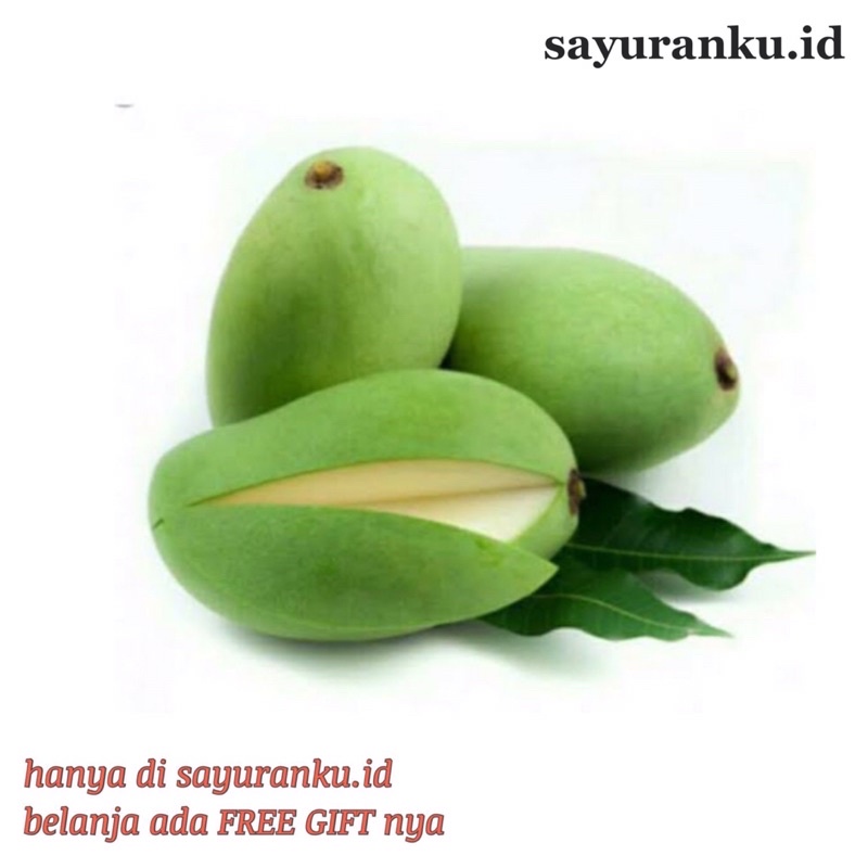 

pasar online murah - buah mangga muda 1 kg/ mangga rujak/ mangga mengkel