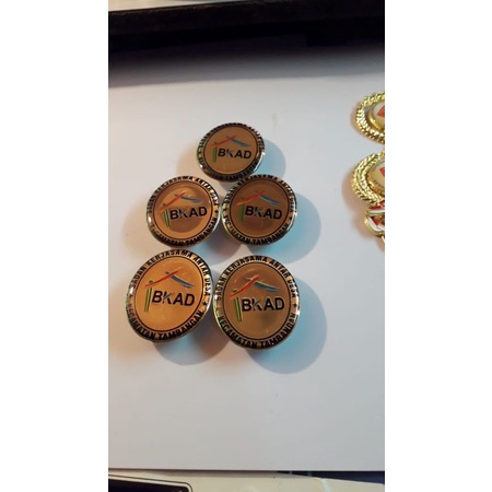 

Pin dada oval resin