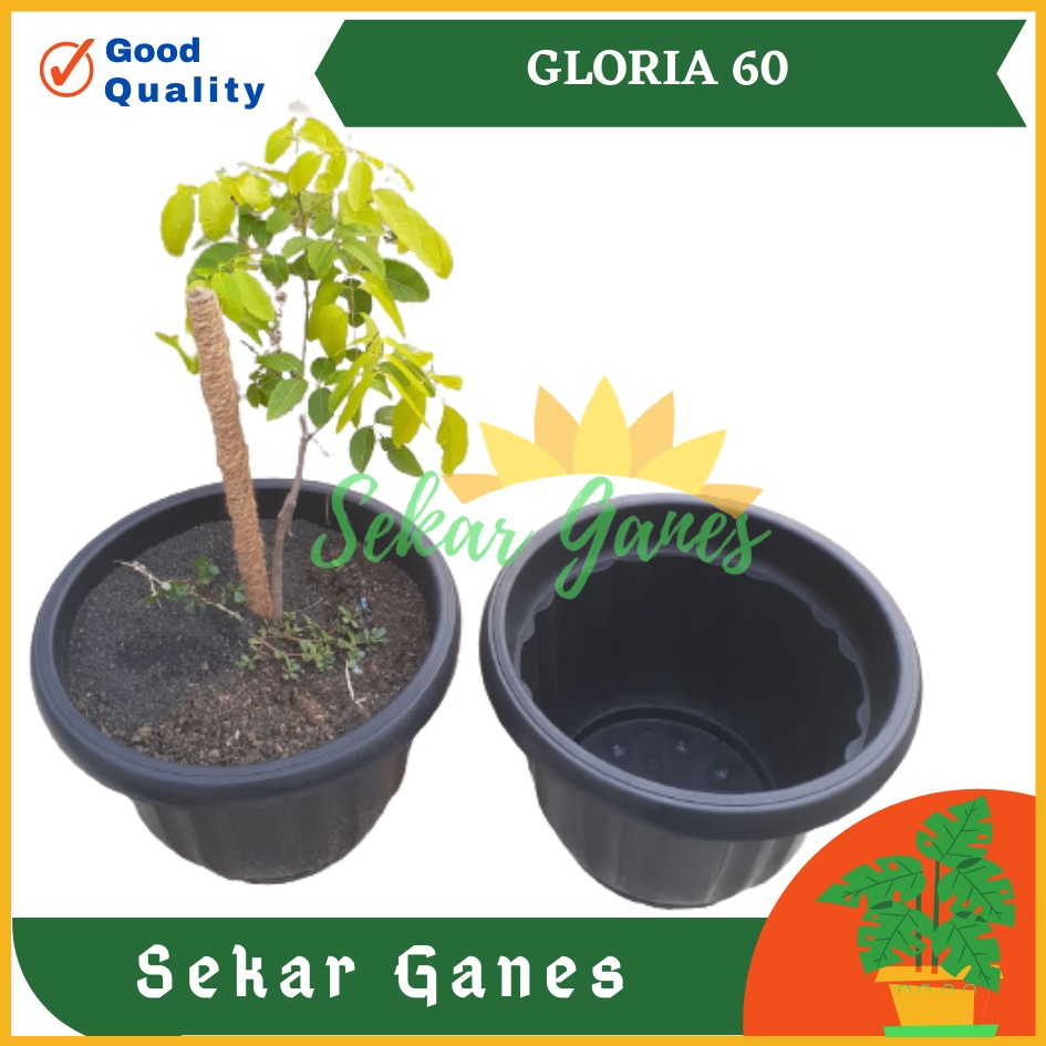 ONLY SAMEDAY AND INSTAN Pot Gloria 60 Hitam - Pot Besar Jumbo 50 60 70cm Pot Besar Plastik Bahan Tebal - Pot Hitam Gloria 50 60 70