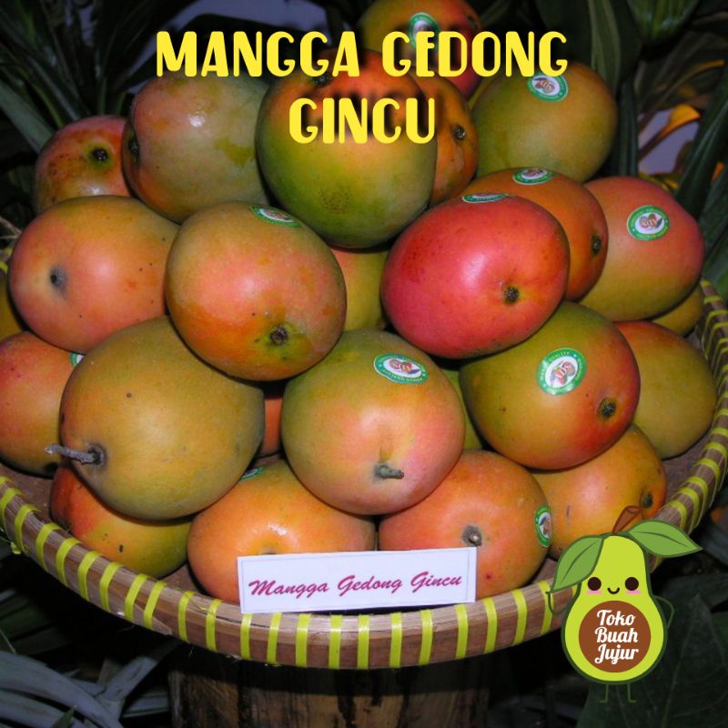 

MANGGA GEDONG GINCU 1Kg