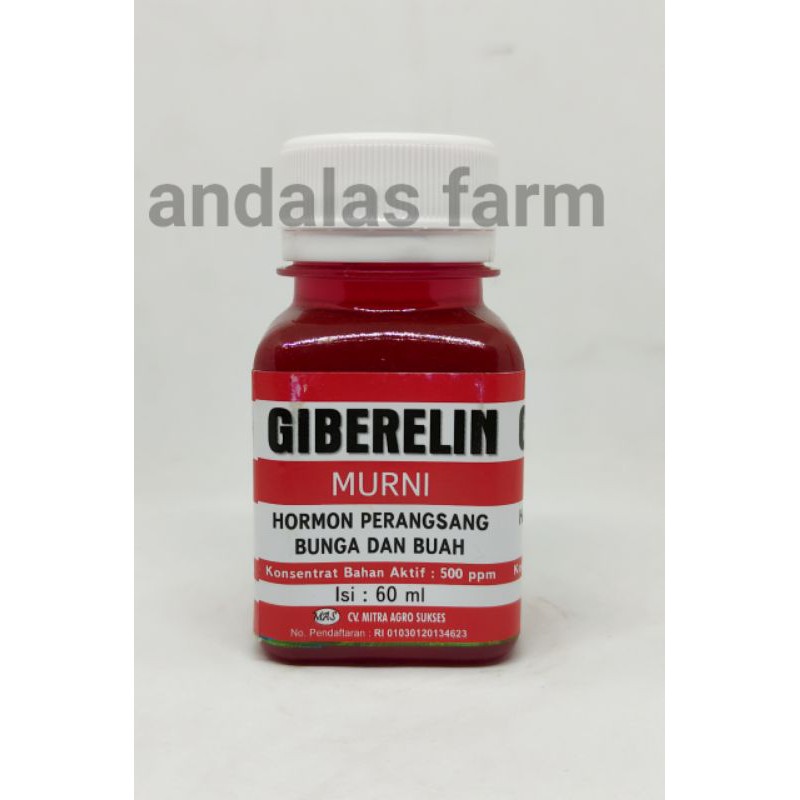 Giberelin Murni @60ml