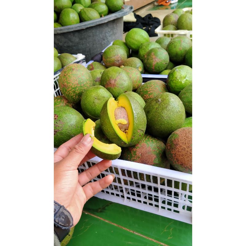 

Alpukat mentega