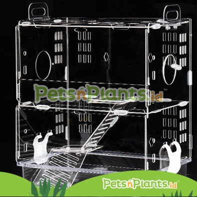 Kandang Hamster Akrilik 2 Tingkat Lengkap Import PnP Crystal Clear Acrylic Cage