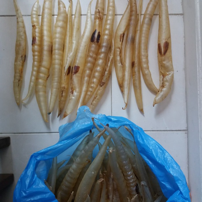 Kkeanashop Perut Ikan / Hupio / Hipiaw Lambung Ikan