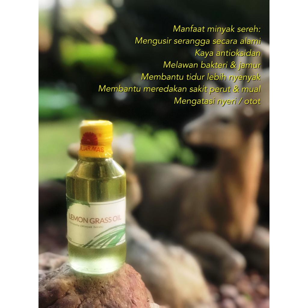 

Minyak Sereh khas Pulau Buru (Ambon) 150 mL