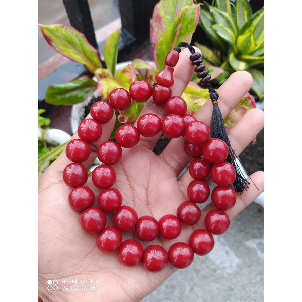 tasbih buah pocok gebang 12 mm