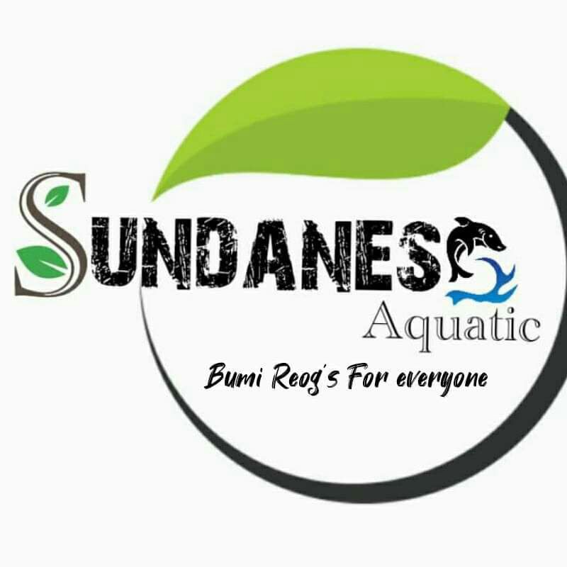 Bucephalandra mini phantom