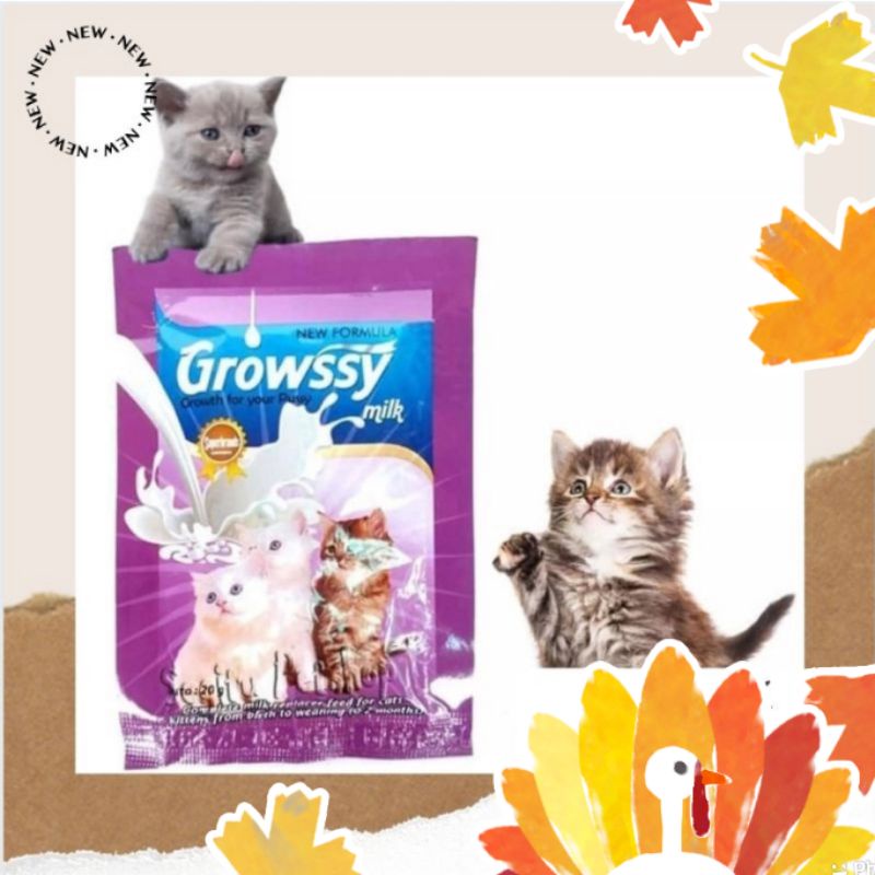 GROWSSY CAT MILK SUSU KUCING GROWSSY SACHET