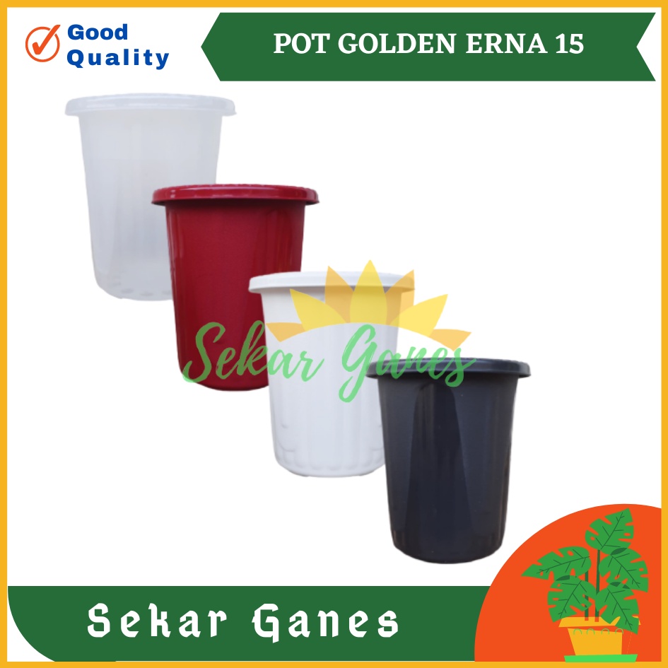 Pot GE15 Golden Erna 15 Putih Bening Transparan Hitam Merah Bata Coklat Terracota Terracotta Garden Of Love Mirip Pot Yogap Ypt 10 13 15 Putih Coklat Merah Bata Bening Transparan Pot Yogap 17 18 19 Pot Yogap Murah Pot Bunga Tinggi Pirus Tegak Bagus Tebal