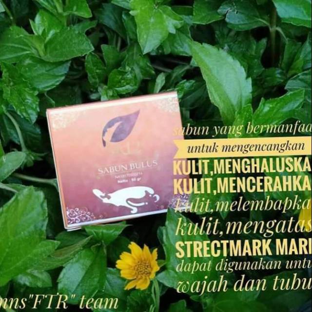 

Bulus herbal soap SR12