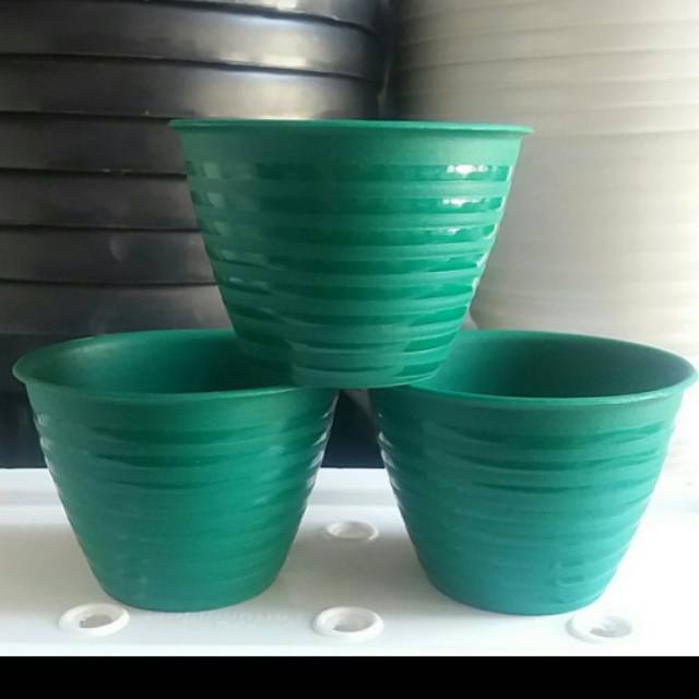 Pot tawon hijau 10cm
