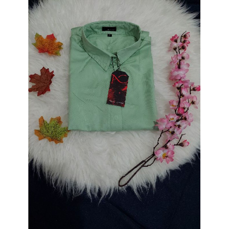 Baju Kemeja Wanita | Kemeja Cewek Lengan Panjang | Kemeja Premium | Kemeja Katun Wanita-Pastel Green K02
