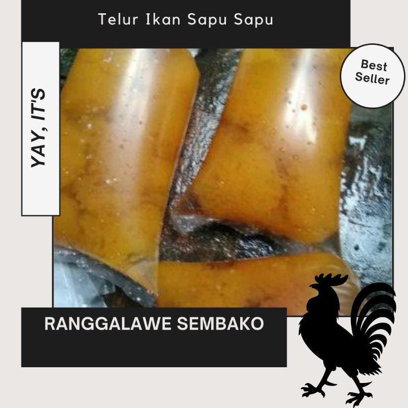 Jual Telur Ikan Sapu Sapu Ts Shopee Indonesia