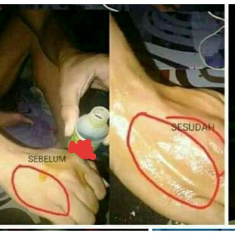 

lintah campur daun bungkus
