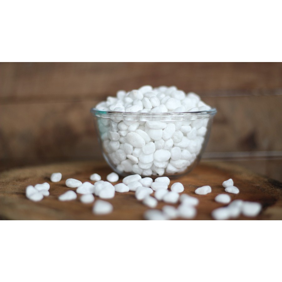 BATU HIAS MINI WHITE CORAL ITALY MEDIA TANAM  DEKORASI HIASAN DINDING MEJA RUANGAN BATU PUTIH