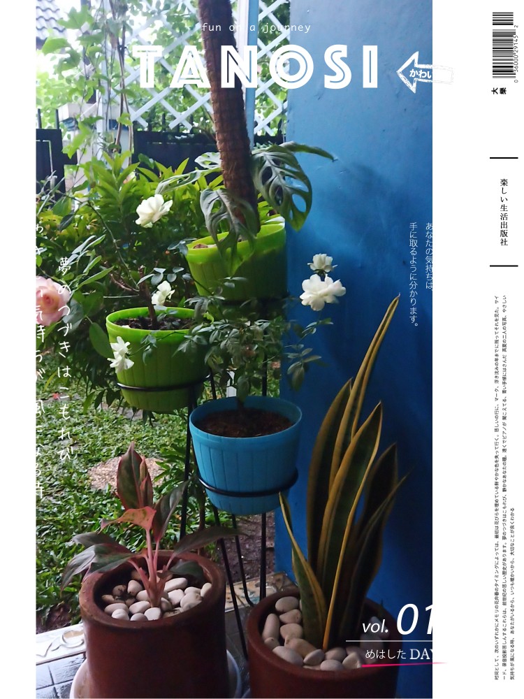 Standing Pot Bunga 3 In 1