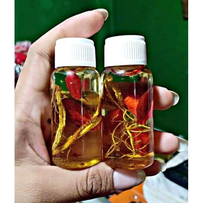 MINYAK BULUS ASLI 30ML - MINYAK BULUS GINSENG - MINYAK BULUS GINGSENG ORIGINAL