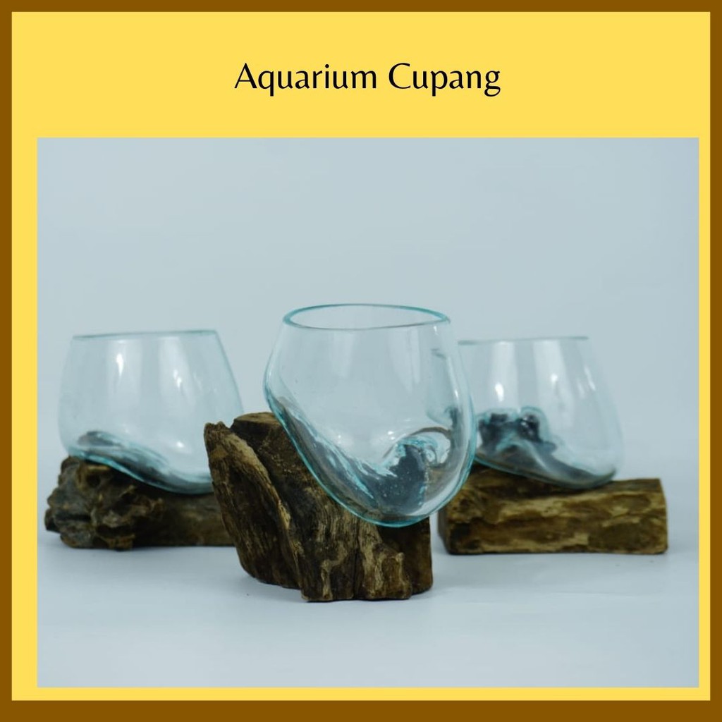 Aquarium Cupang, Akuarium Bulat Ikan Hias, Aquarium Tiup, Akuarium Kayu