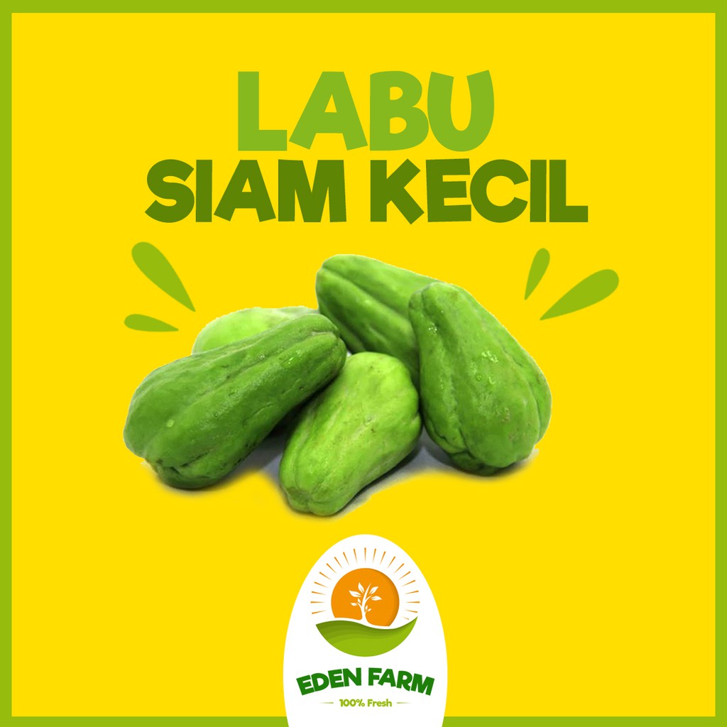 

PROMO LABU SIAM KECIL - SAYUR BUAH MURAH 100% FRESH