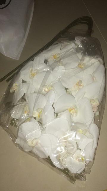 (cod)anggrek Lateks Real Touch