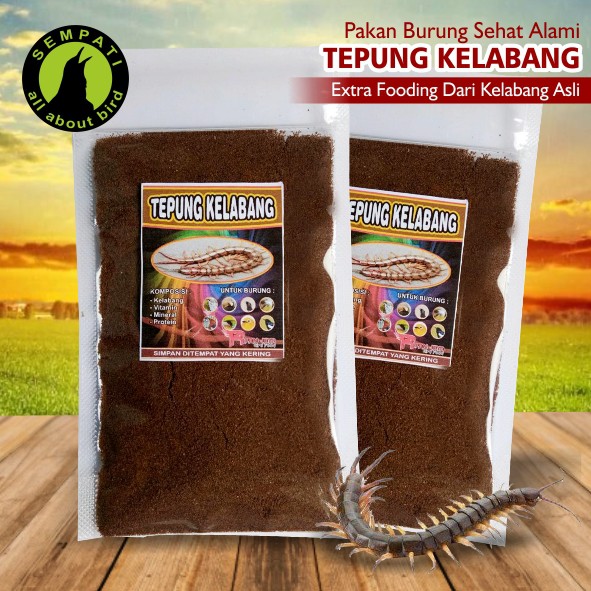 Tepung Kelabang R Fam Jaya Pakan Burung Anis Cucak Ijo Pleci Kacer