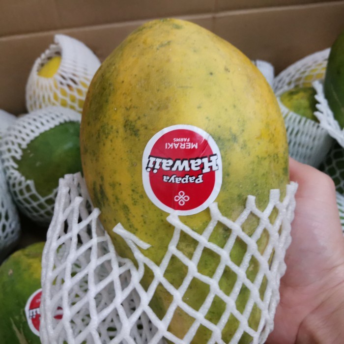 

Pepaya Hawaii Madu Honey Papaya 1 buah