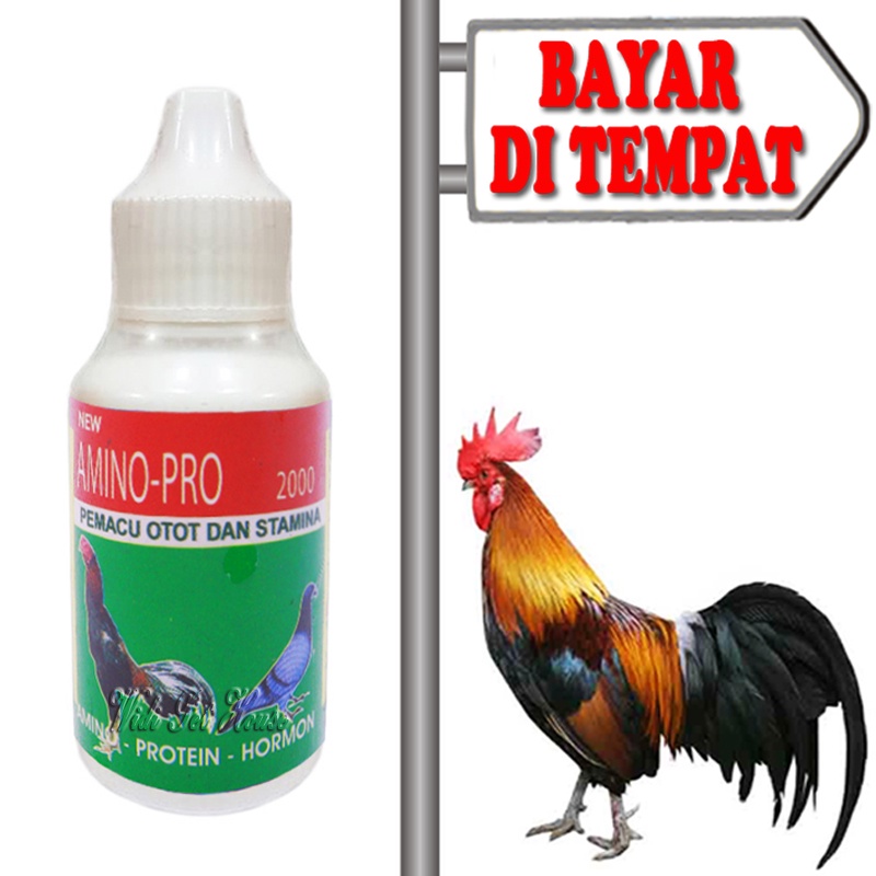 Vitamin Nafsu Makan Stamina Ayam Burung Amino Pro 2000