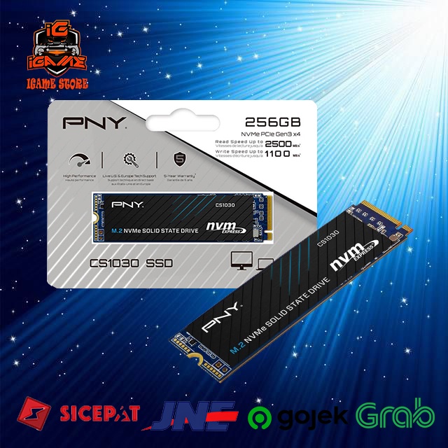 SSD PNY CS1031 256GB M.2 NVMe PCIe Gen3 x4 - Nampol Gan