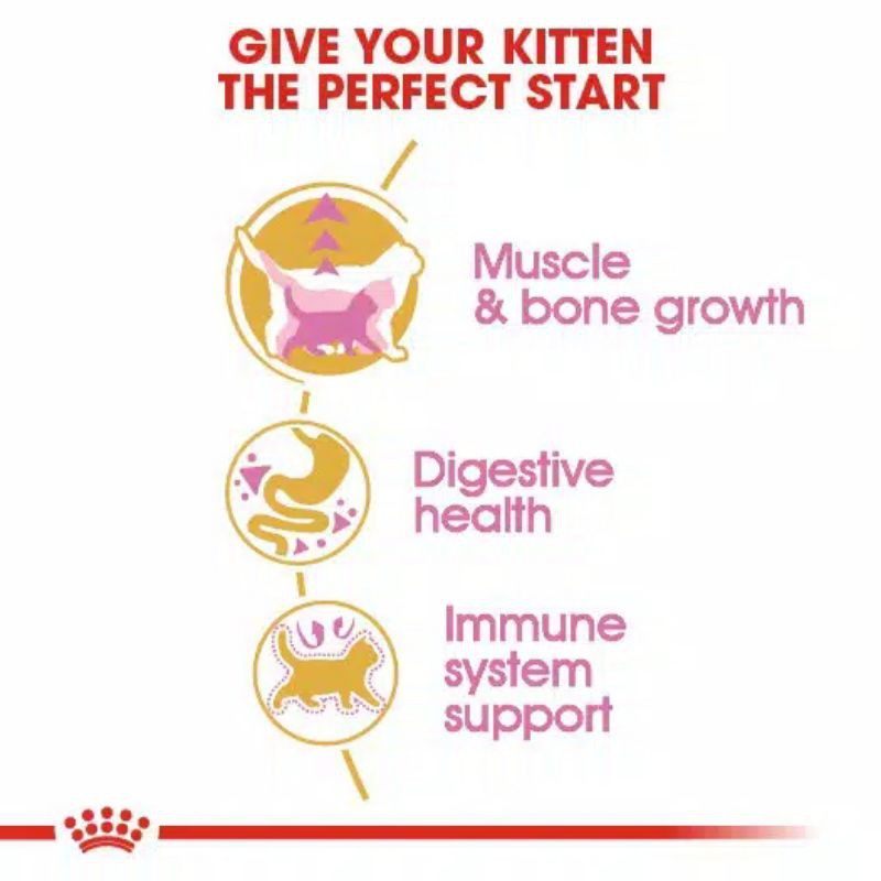 Royal Canin Kitten British Shorthair 2Kg Freshpack Makanan Kucing Kitten British