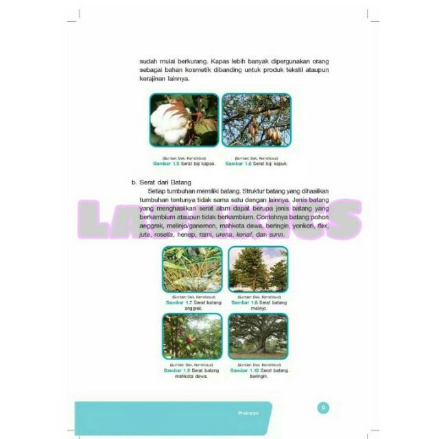 Buku Prakarya Kelas 7 SMP Kurikulum 2013 Revisi 2017-2018 Semester 1 dan 2 Kurtilas-3