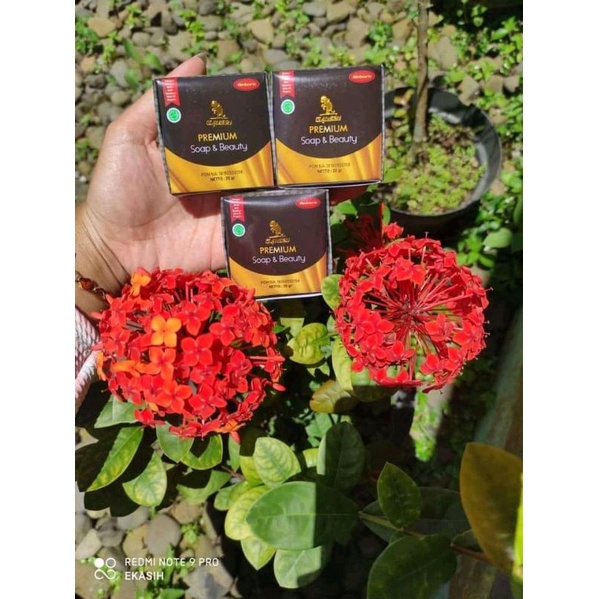 SABUN GANESH PREMIUM & SOAP ORIGINAL per pcs20gr