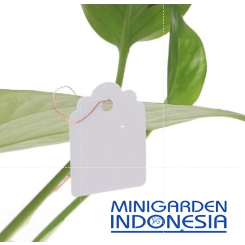 LABEL GANTUNG TALI SENAR PACK ISI 100PCS label penanda bibit tanaman