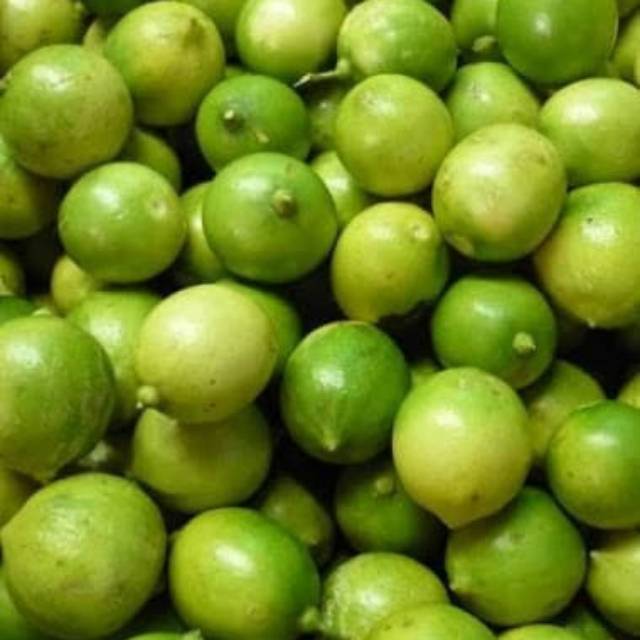 

GROSIR BUAH LEMON LOKAL