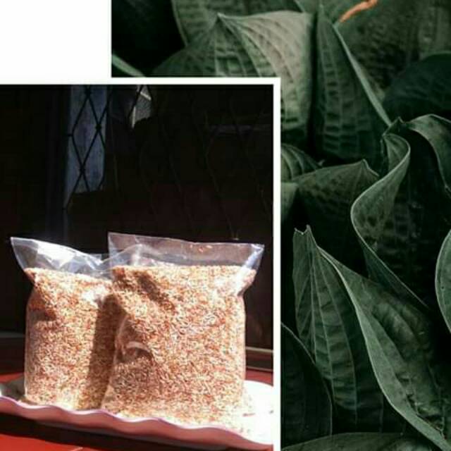 

Beras merah sukabumi jampang 500gram