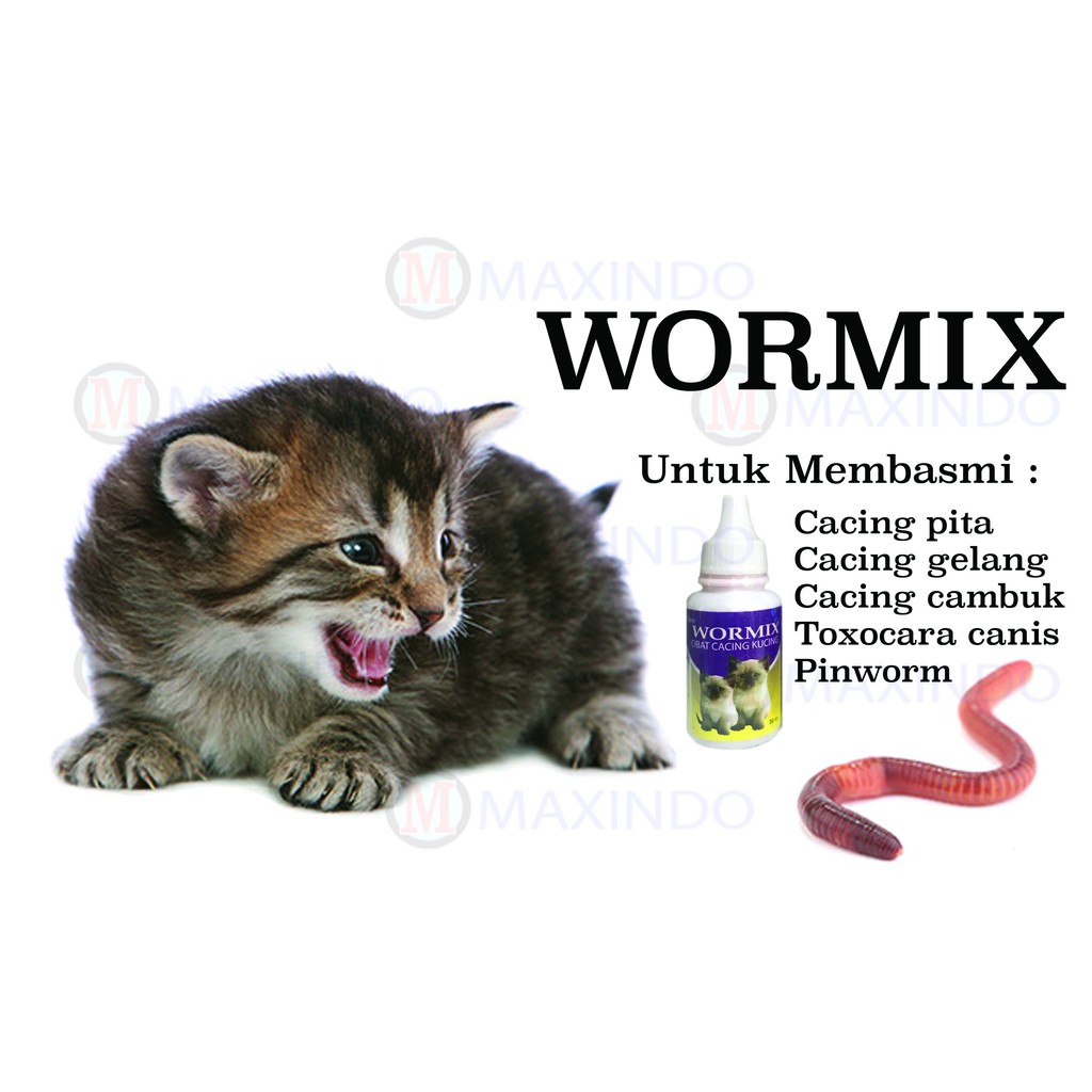 Obat Cacing Maxindo Wormix Cat 30 ml