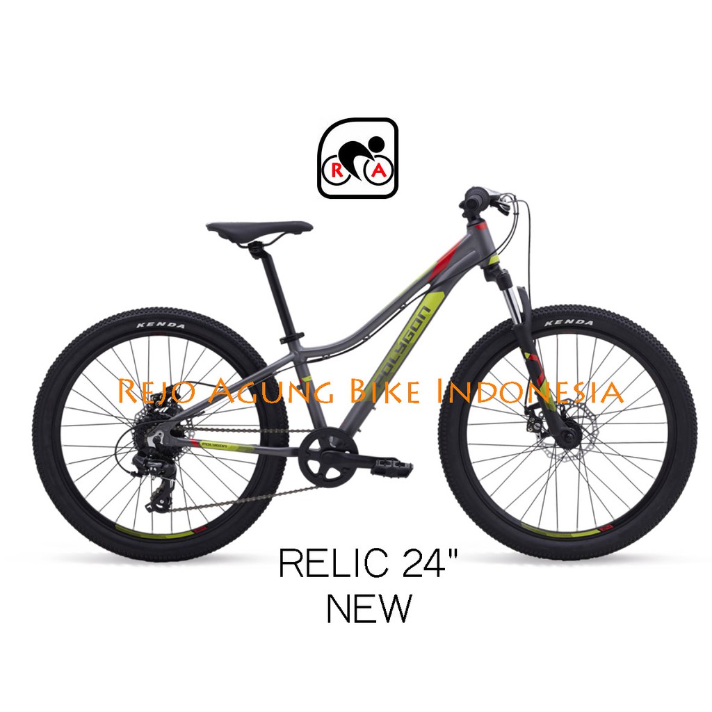 relic 24 polygon