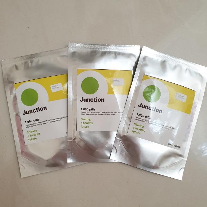 Bibit Benih Junction RZ Batavia Lettuce Junction Rijk Zwaan 1000 seeds