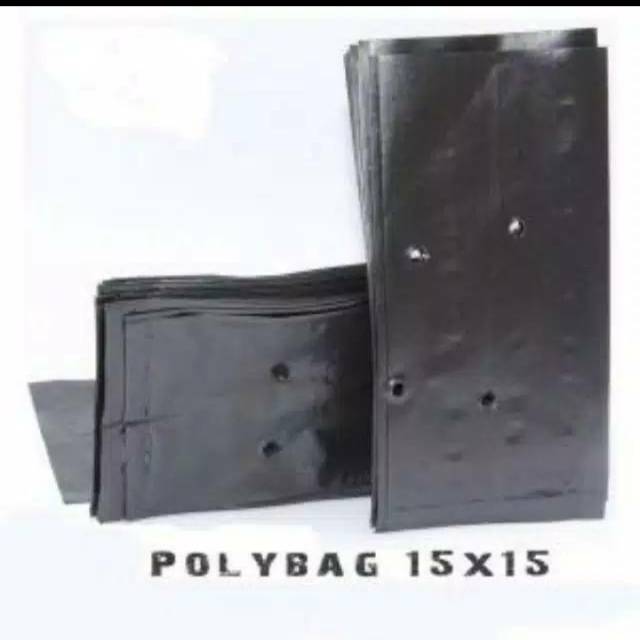 Plastik polybag 15x15 cm 30 lmbar