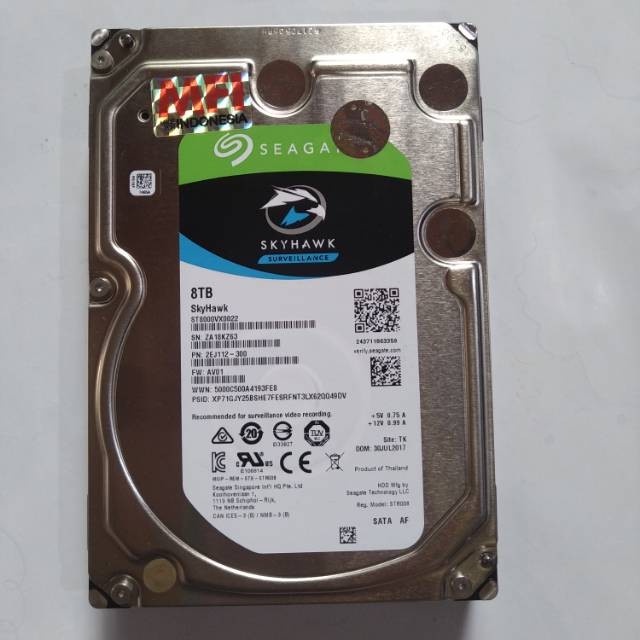 Seagate Harddisk CCTV 8TB SKYHAWK