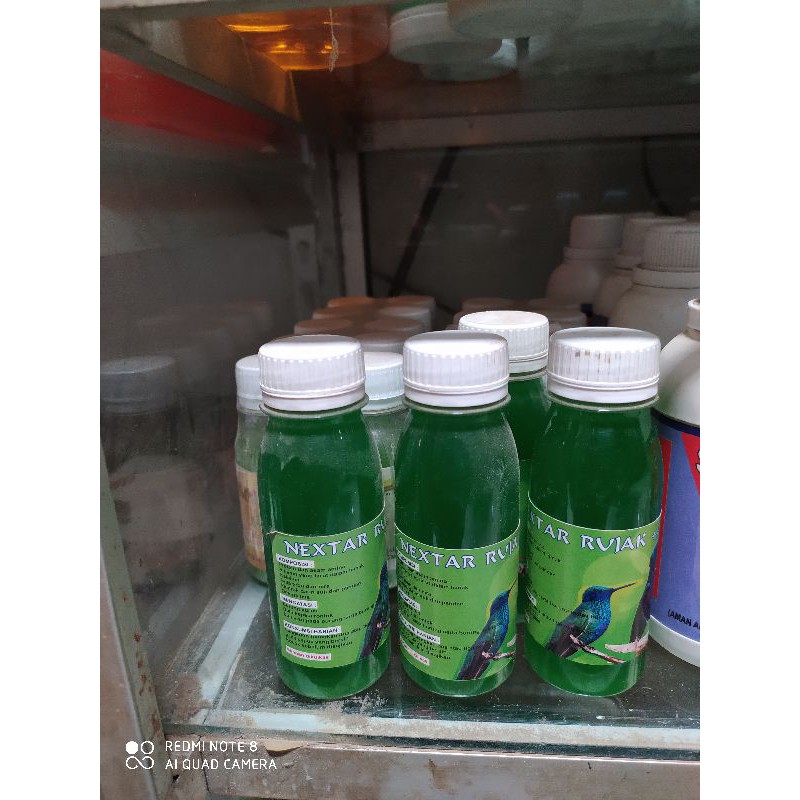 

NEXTAR RUJAK
