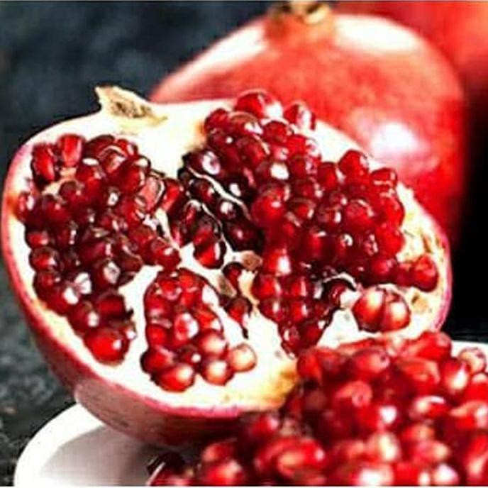 Bibit Buah Delima Merah Biji Lunak Red Ruby Pomegranate Spanyol