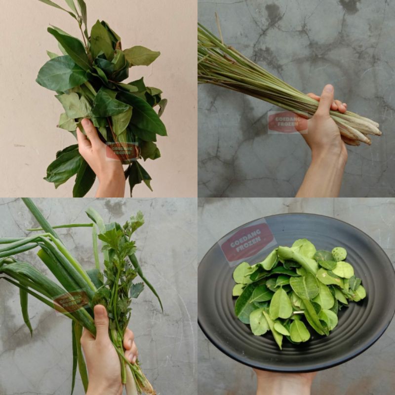 Daun Salam / Daun Jeruk / Daun Seledri / Serai | Shopee ...