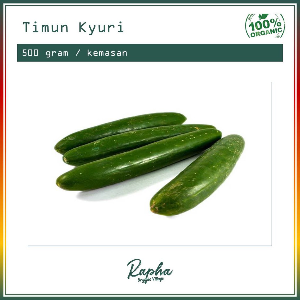 

Timun Kyuri Organik