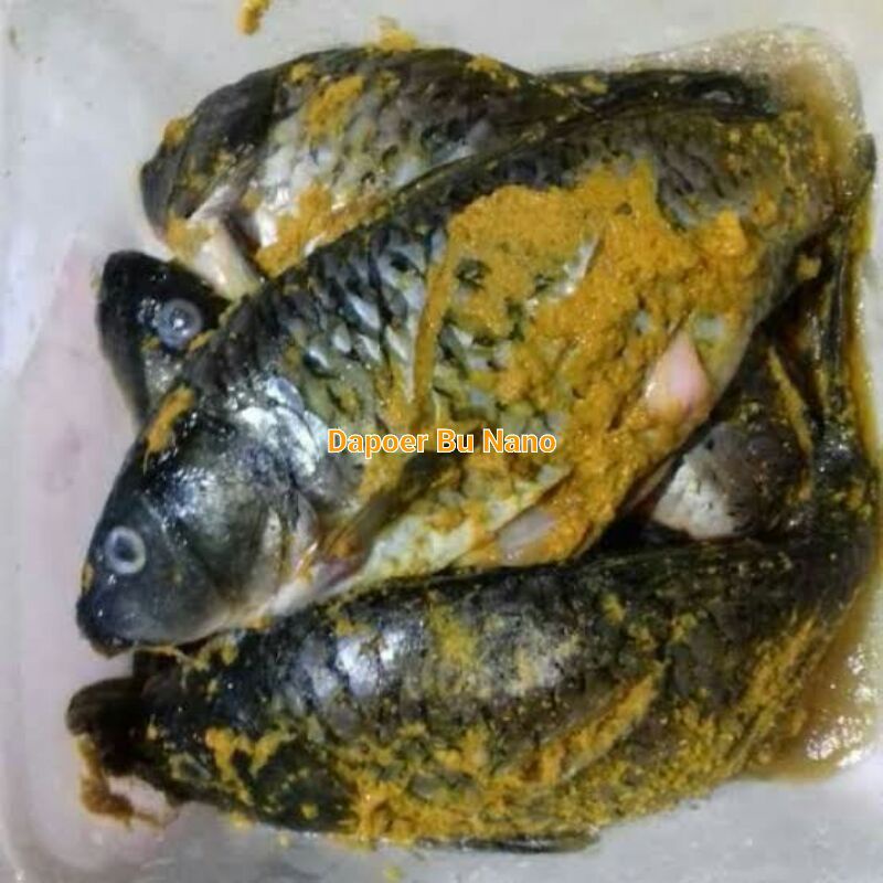 

Ikan Mas Bumbu Kuning Marinasi 1Kg Isi 4 Ekor Siap Goreng/Bakar.