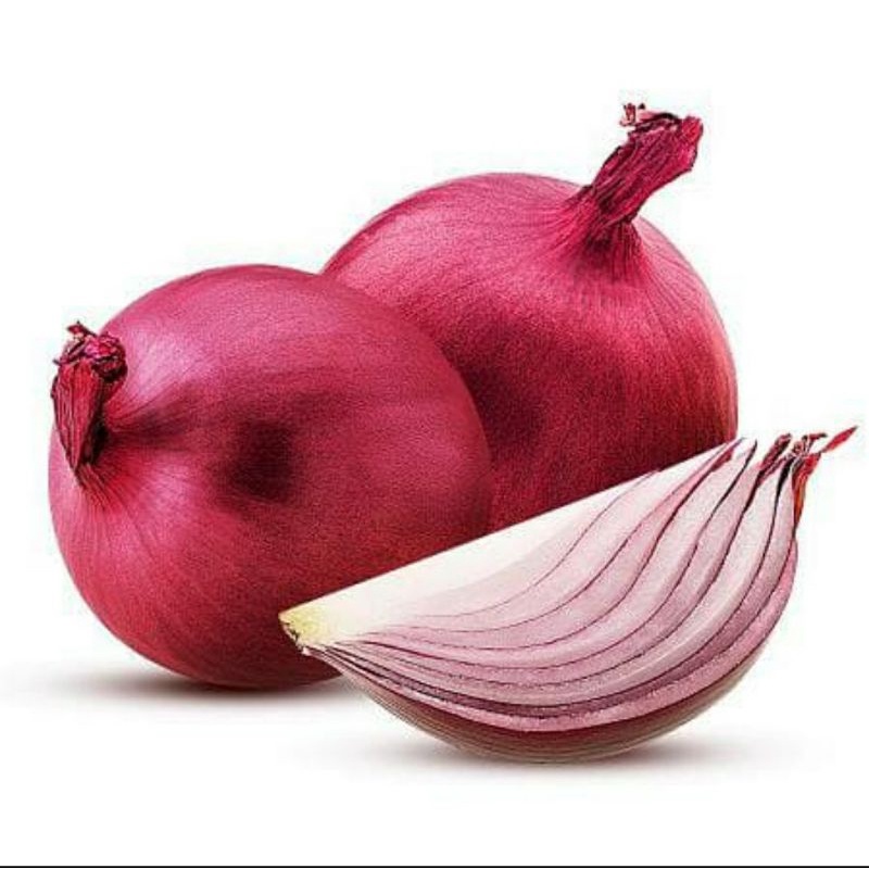 Benih Bawang Merah - Benih Onion Red Burgundy - Daily Farm-3