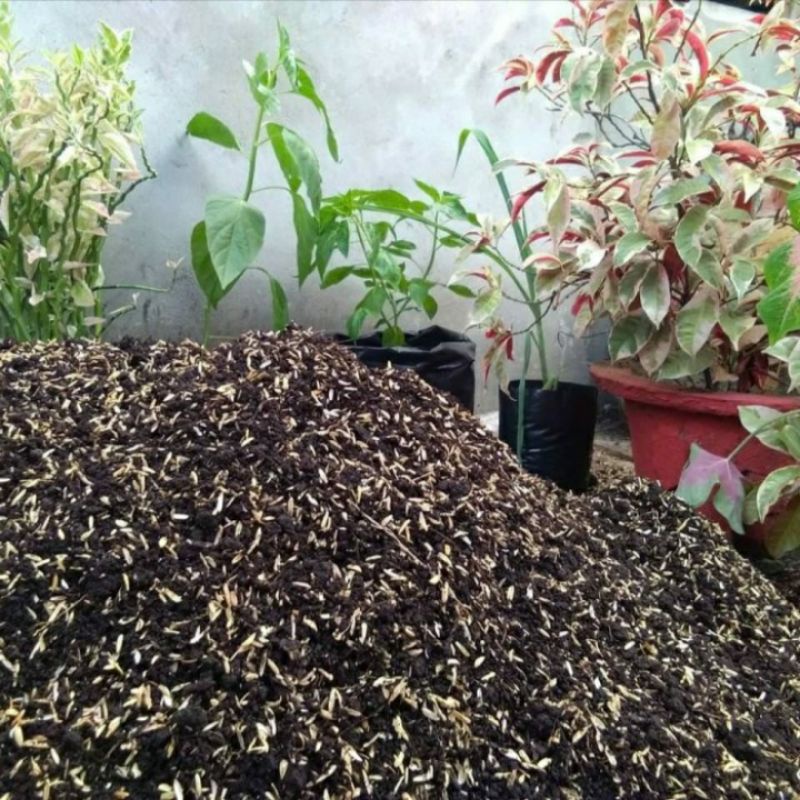 Jual Campuran Tanah + Sekam + Pupuk + Cocopeat | Berat 5kg | Media ...